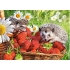 Puzzle 260 elem deser truskawkowy